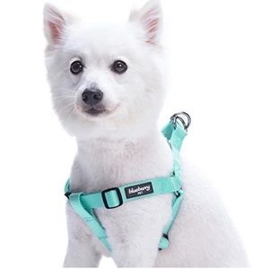 NWOT Blueberry Pet Essentials 21 Step-in Classic Dog Harness,